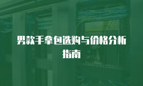男款手拿包选购与价格分析指南