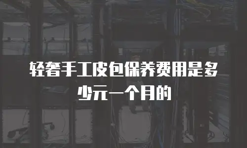轻奢手工皮包保养费用是多少元一个月的
