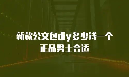 新款公文包diy多少钱一个正品男士合适