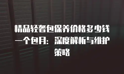 精品轻奢包保养价格多少钱一个包月：深度解析与维护策略