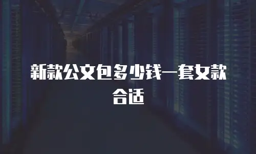 新款公文包多少钱一套女款合适