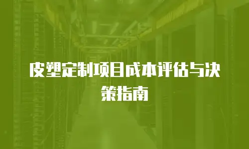 皮塑定制项目成本评估与决策指南