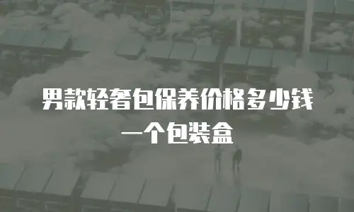 男款轻奢包保养价格多少钱一个包装盒