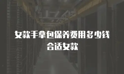 女款手拿包保养费用多少钱合适女款