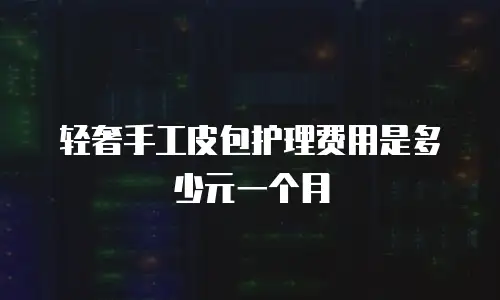 轻奢手工皮包护理费用是多少元一个月
