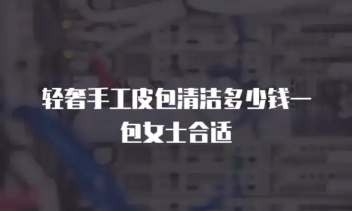 轻奢手工皮包清洁多少钱一包女士合适