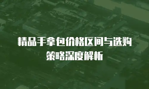 精品手拿包价格区间与选购策略深度解析
