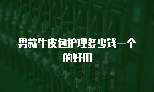 男款牛皮包护理多少钱一个的好用