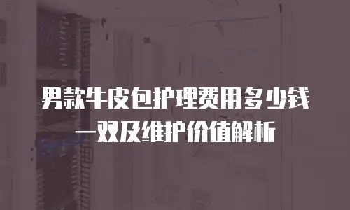男款牛皮包护理费用多少钱一双及维护价值解析