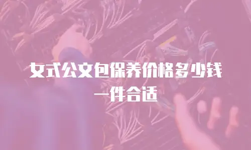 女式公文包保养价格多少钱一件合适