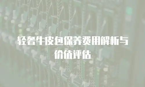轻奢牛皮包保养费用解析与价值评估