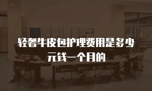 轻奢牛皮包护理费用是多少元钱一个月的