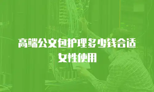 高端公文包护理多少钱合适女性使用