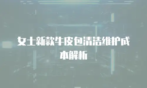 女士新款牛皮包清洁维护成本解析