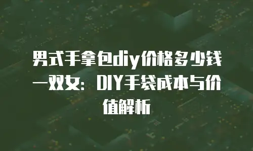 男式手拿包diy价格多少钱一双女：DIY手袋成本与价值解析