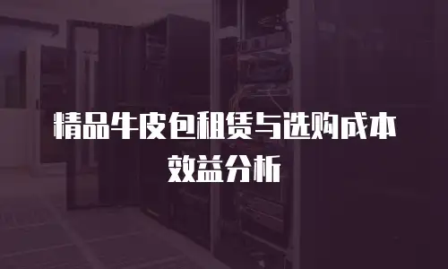 精品牛皮包租赁与选购成本效益分析