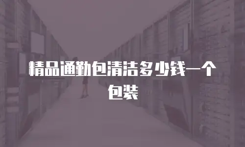 精品通勤包清洁多少钱一个包装