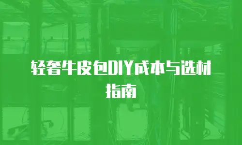 轻奢牛皮包DIY成本与选材指南