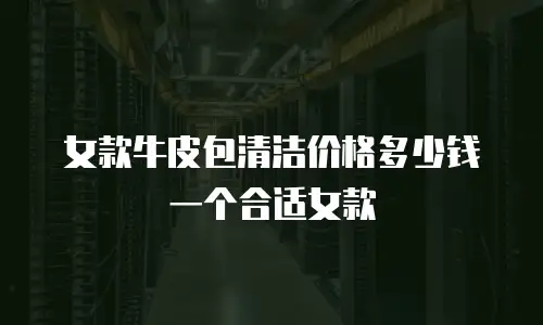 女款牛皮包清洁价格多少钱一个合适女款