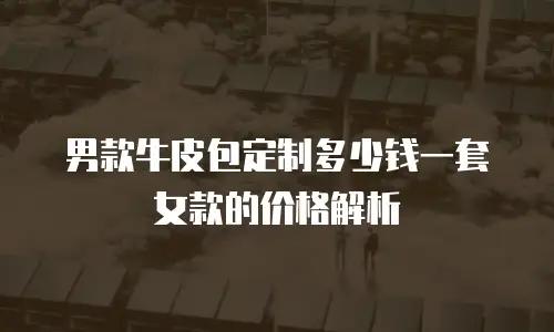 男款牛皮包定制多少钱一套女款的价格解析