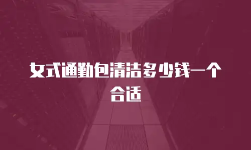 女式通勤包清洁多少钱一个合适