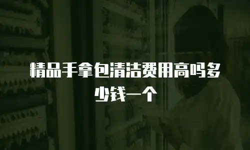精品手拿包清洁费用高吗多少钱一个