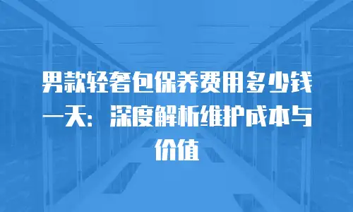 男款轻奢包保养费用多少钱一天：深度解析维护成本与价值