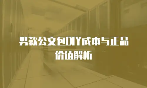 男款公文包DIY成本与正品价值解析