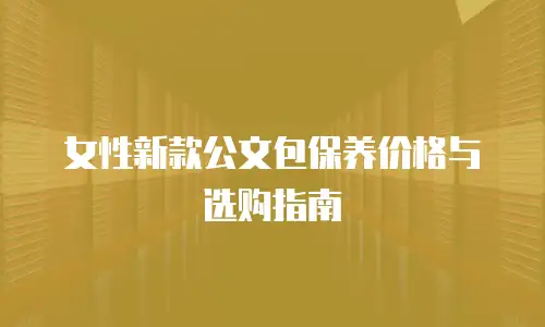 女性新款公文包保养价格与选购指南