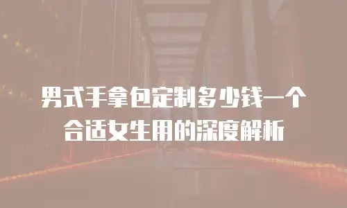 男式手拿包定制多少钱一个合适女生用的深度解析