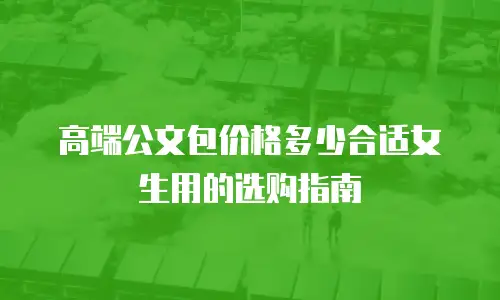 高端公文包价格多少合适女生用的选购指南