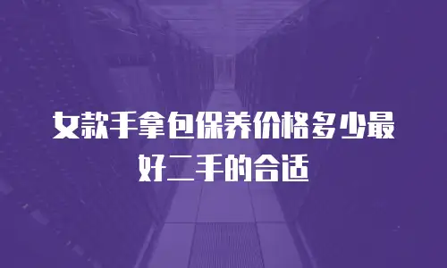 女款手拿包保养价格多少最好二手的合适
