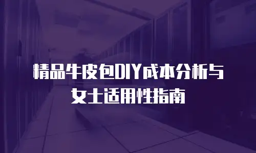 精品牛皮包DIY成本分析与女士适用性指南