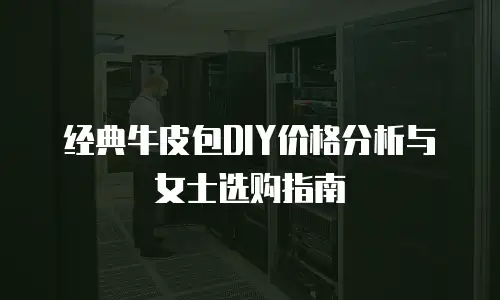 经典牛皮包DIY价格分析与女士选购指南
