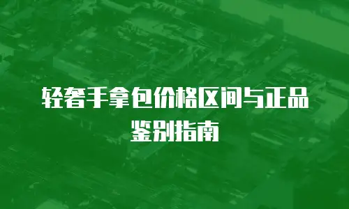 轻奢手拿包价格区间与正品鉴别指南