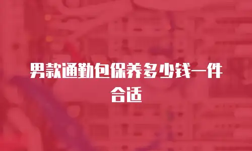 男款通勤包保养多少钱一件合适