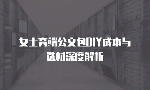 女士高端公文包DIY成本与选材深度解析