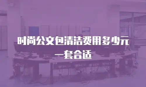时尚公文包清洁费用多少元一套合适
