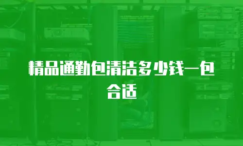 精品通勤包清洁多少钱一包合适