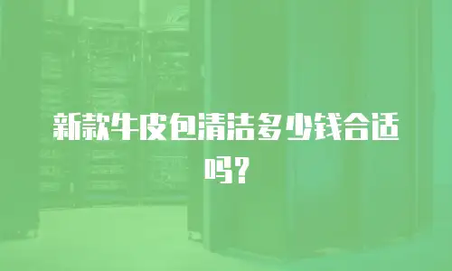 新款牛皮包清洁多少钱合适吗？