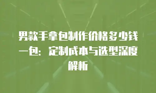 男款手拿包制作价格多少钱一包：定制成本与选型深度解析