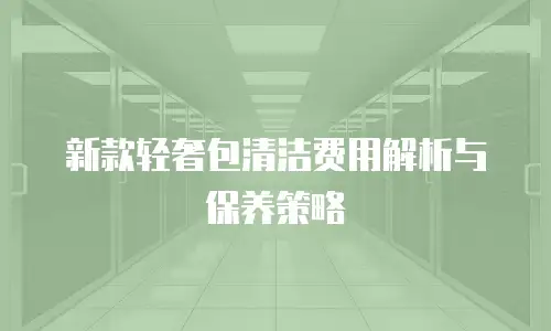 新款轻奢包清洁费用解析与保养策略