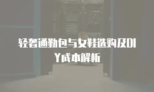 轻奢通勤包与女鞋选购及DIY成本解析