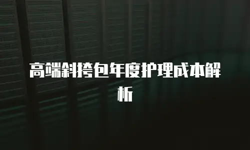 高端斜挎包年度护理成本解析