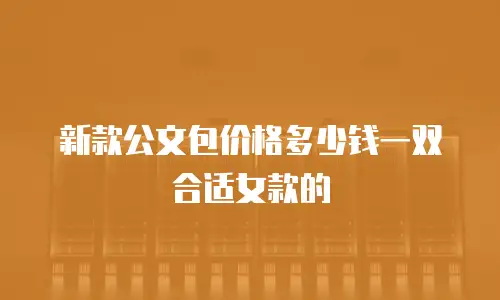 新款公文包价格多少钱一双合适女款的