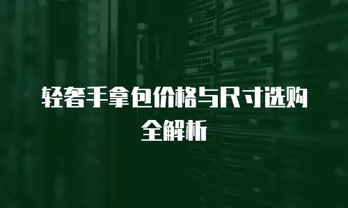 轻奢手拿包价格与尺寸选购全解析