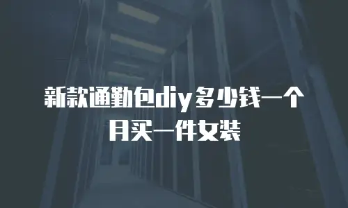 新款通勤包diy多少钱一个月买一件女装