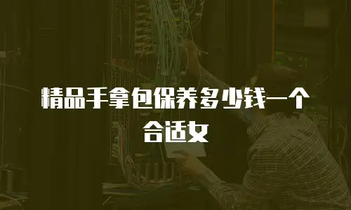 精品手拿包保养多少钱一个合适女
