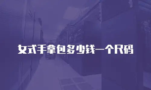 女式手拿包多少钱一个尺码