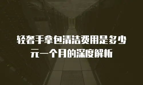 轻奢手拿包清洁费用是多少元一个月的深度解析